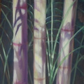 Bamboo Study 02