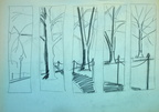 Tree Study 2000