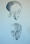 Skeleton Heads 2000