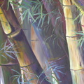 2004 Bamboo left side 36 by 48