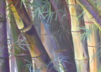 2004 Bamboo left side 36 by 48