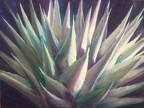2016 Agave 36 by 48