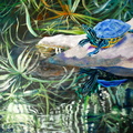 2009 Florida Turtle   36 x 48