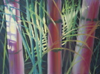 2012 Bamboo Study 18 by 24
