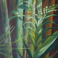 2013 Bamboo Study 30 by 24