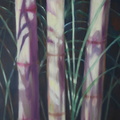 2013 Bamboo Study 36 by  48