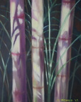 2013 Bamboo Study 36 by  48