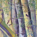 2004 Bamboo right side 36 x 48