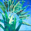 2014 Traveling Palm Puert Rico 48 x 48