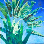 2014 Traveling Palm Puert Rico 48 x 48