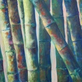 2015 Bamboo 36 x 48