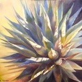 2016 Agave Spendor 30 by 30       sold